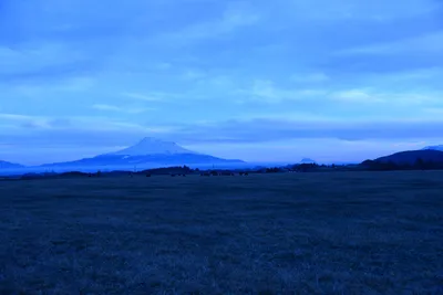 DSC_0963 (Large).JPG